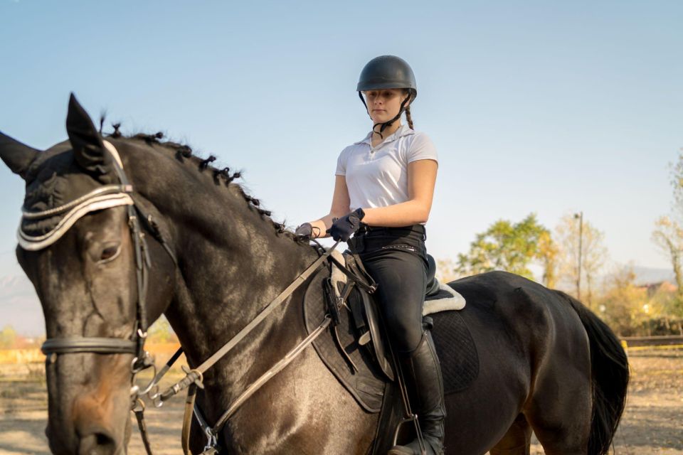 Agadir: Forest and Sand Dunes Guided Horse Riding Tour - Additional Information