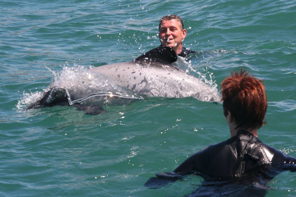 Akaroa: Swimming With Wild Dolphins 3-Hour Experience - Contribution to Dolphin Conservation