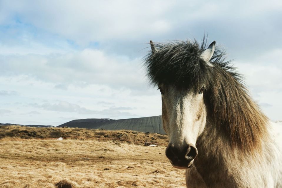 Akureyri Port: Lake Mývatn & Goðafoss Waterfall Day Trip - Common questions