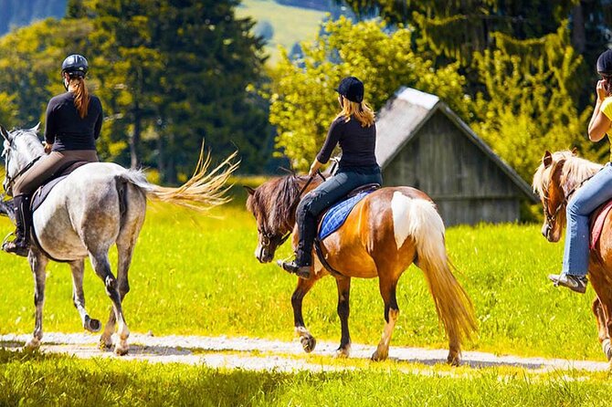 Alanya Horse Riding Experience With Free Hotel Transfer - Common questions