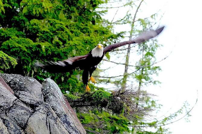 Alaska Marine Fast Boat Adventure - Safety Precautions