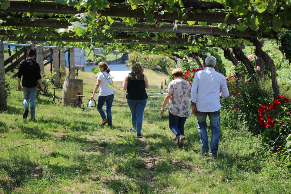 Albariño Wine Tasting With Winery Tour - Directions and Tips