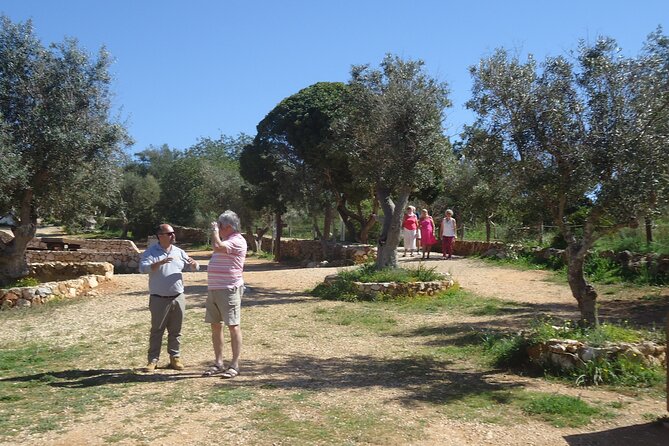 Algarve Private Tour With Typical Lunch - Last Words