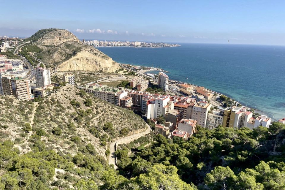 Alicante: Seven Secrets of Alicante Discovery Tour - Customer Reviews