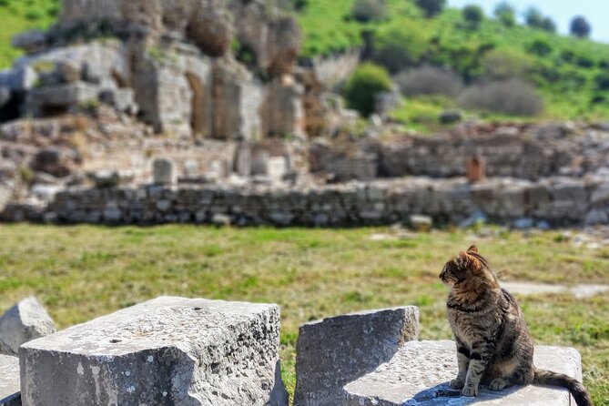 All Inclusive Private Half-Day Ephesus and Sirince Village Tour With Lunch - Common questions