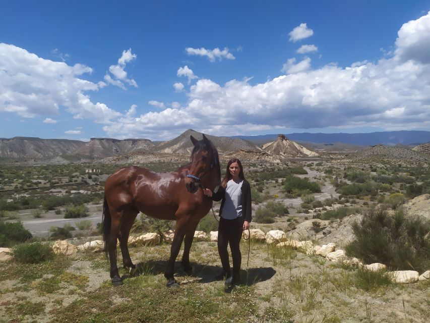 Almeria: Tabernas Desert Horse Riding for Experienced Riders - Location Details