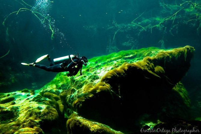 Amazing Beginner Dive in Tulum Cenote (Or Refresher Dive) - Last Words