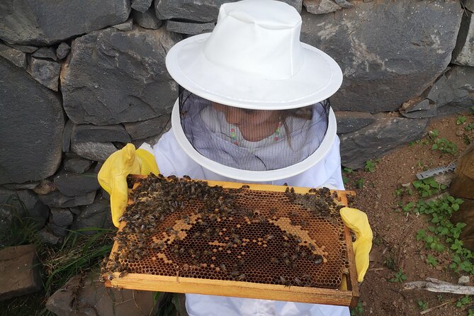 Amazing Experience With Bees in Madeira Island - Last Words