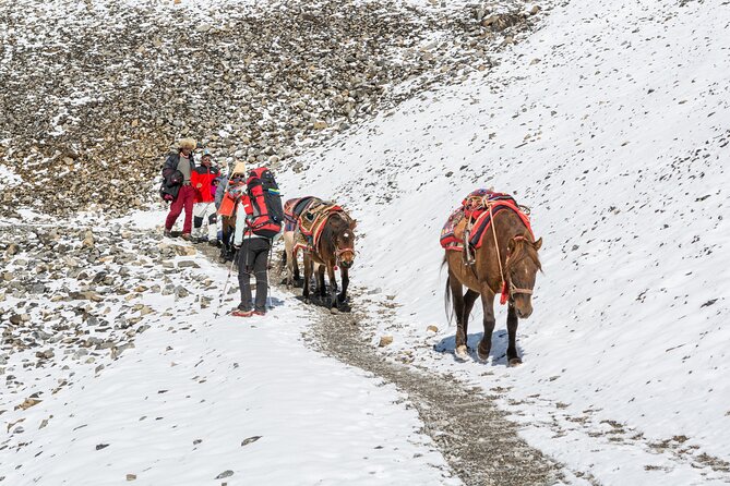 Annapurna Circuit Trek - Common questions