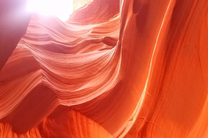 Antelope Canyon, Horseshoe Bend and Lake Powell Tour From Las Vegas - Traveler Reviews