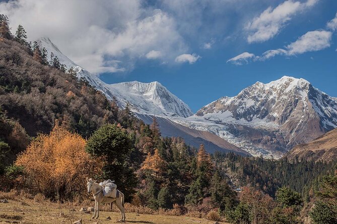 Around Manaslu Trek - Common questions