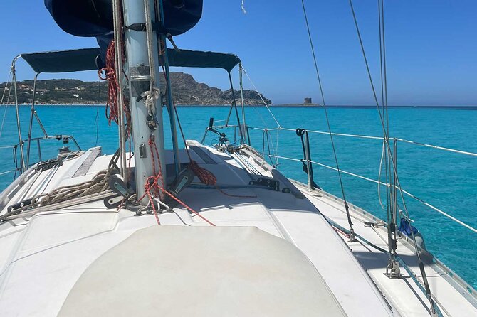 Asinara Full Day Sailboat Tour From Stintino - Additional Activities