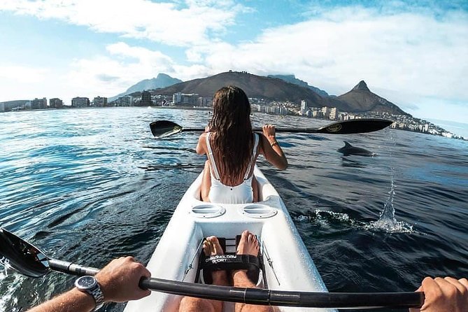 Atlantic Outlook Kayak Tour Cape Town - Check Availability and Booking Now