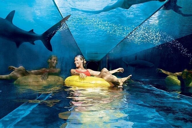 Atlantis Lost-Chamber Aquarium Dubai - Support and Additional Resources
