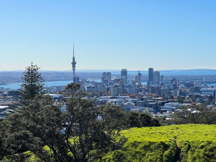 Auckland: City Sightseeing and Explore Piha Beach - Sightseeing Landmarks and Scenic Stops