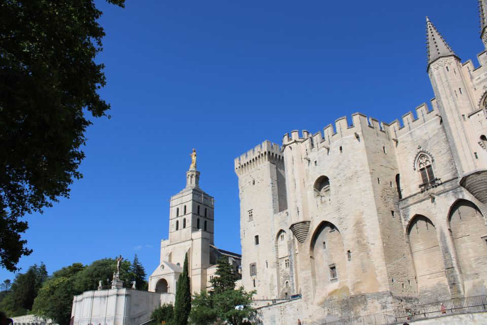 Avignon: Tour With Private Guide - Must-See Sights in Avignon