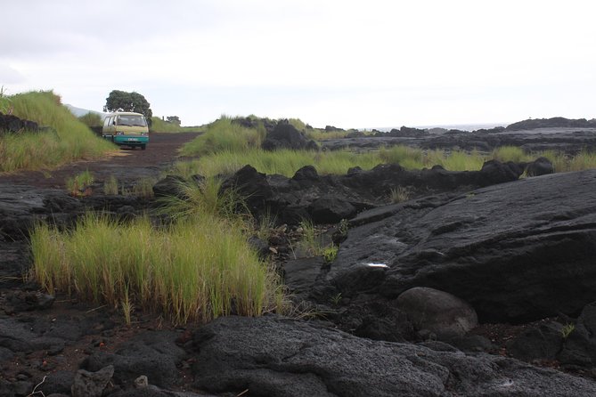 Banana Trip - Full Day Private Tour to Pico With Round Trip From Faial - Price Options