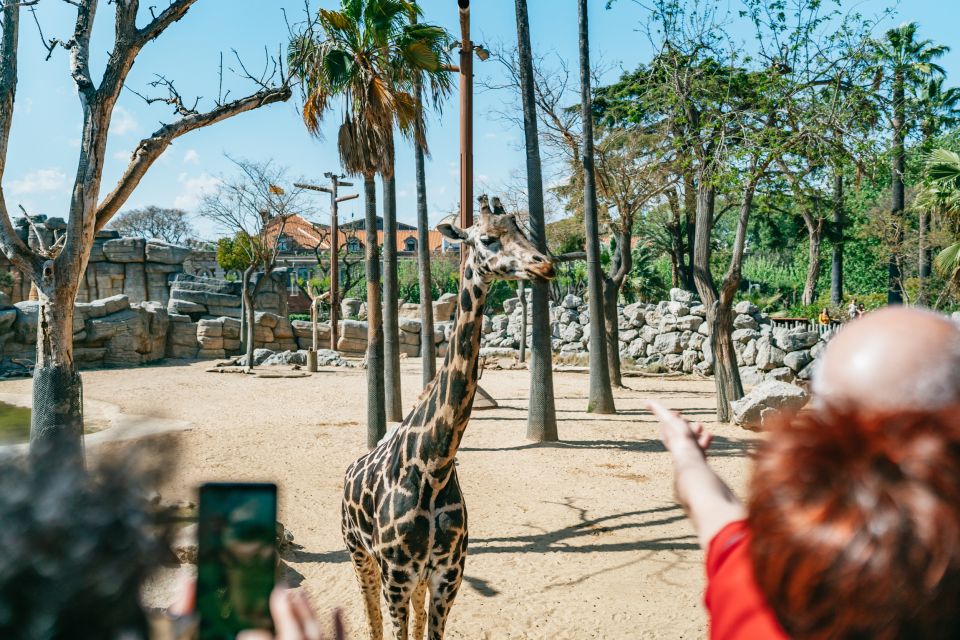 Barcelona: 1-Day Ticket to Barcelona Zoo - Common questions