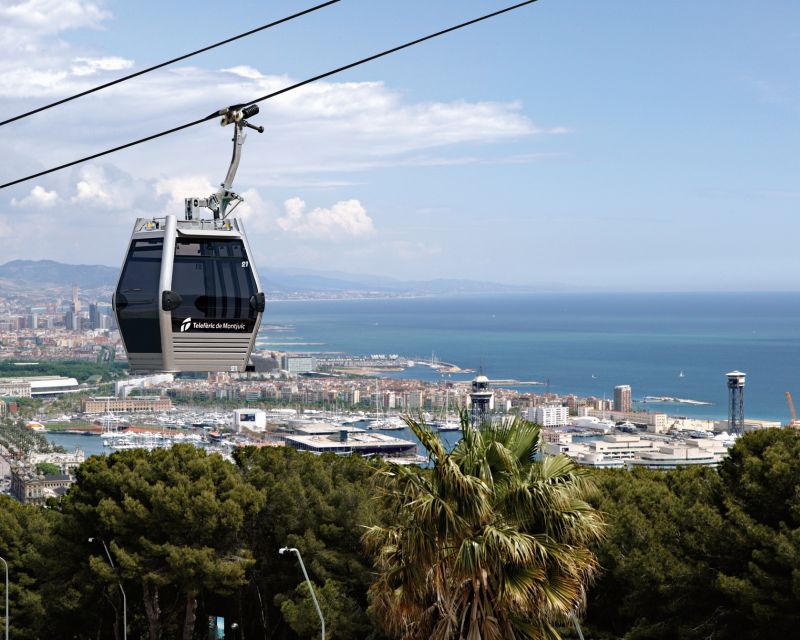 Barcelona Card: 15 Museums and Free Public Transportation - Pricing and Package Options