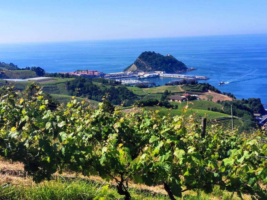 Basque Country: Mountains, Ocean, & Sanctuary of Loyola Trip - Common questions