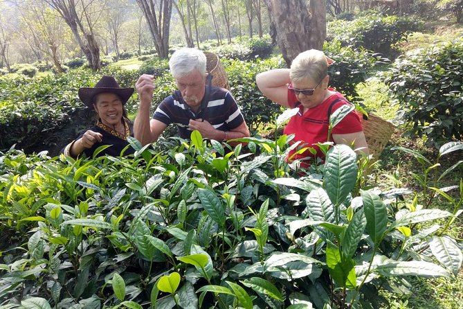 Bau Thong Waterfalls, Tea, and Wat Ban Den Private Tour - Last Words