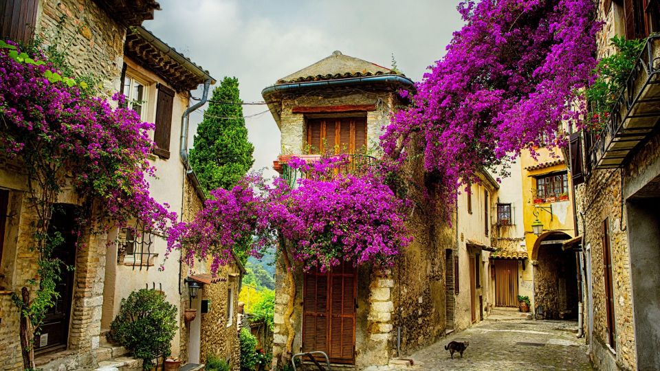 Best of PROVENCE : Aix-En-PROVENCEcassis & Wine Tasting Day - Booking Details and Inclusions