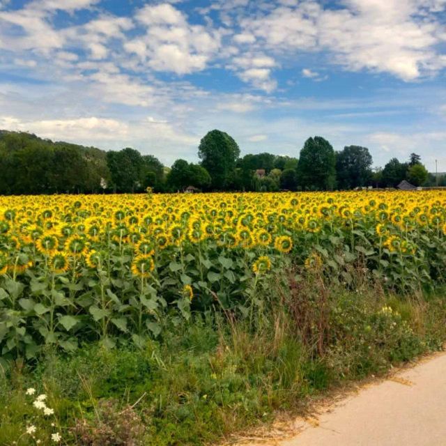 Bike Tour From Vernon to Giverny With Local Guide - Route and Additional Information