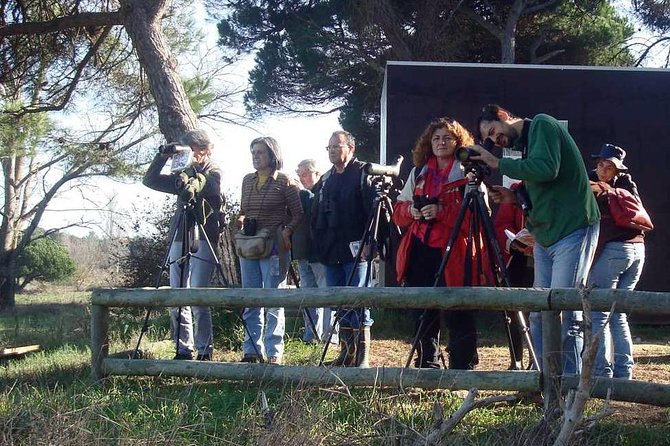 Bird Watching in Albufeira Lagoon - Last Words