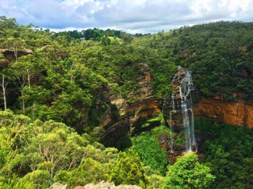 Blue Mountains: Wildlife Park & Bushwalks Day Tour - Itinerary Details