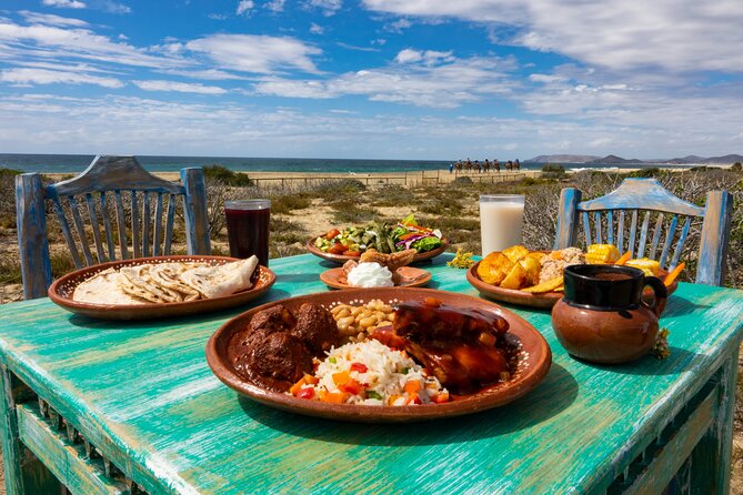 Boat Ride to the Arch and Beach Camel Ride in Cabo San Lucas Shared Tour - Common questions