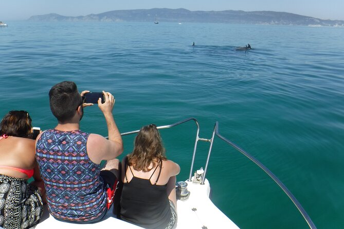 Boat Trip for Dolphin Watching Along the Arrabida Coast and Sesimbra - Directions for the Boat Trip