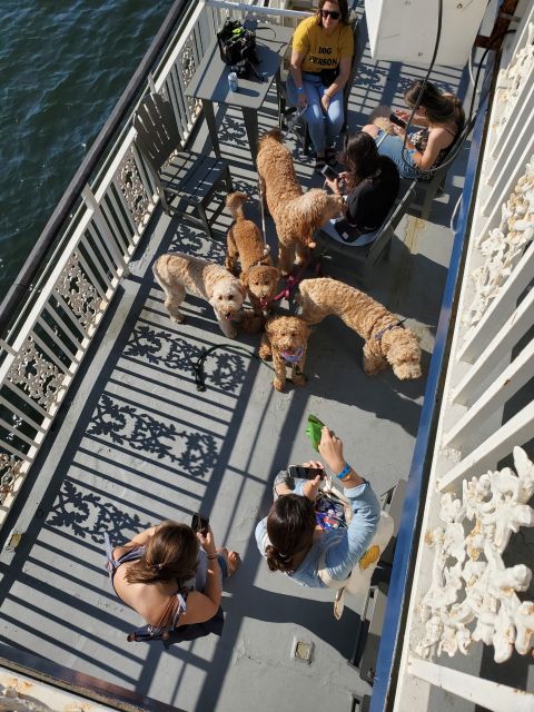 Boston: Scenic Harbor Cruise (Dog-Friendly) - Directions