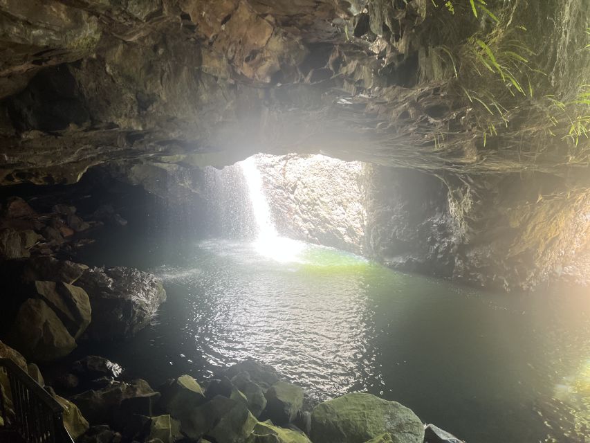 Brisbane: Springbrook and Mt Tamborine Rainforest Day Tour - Additional Information