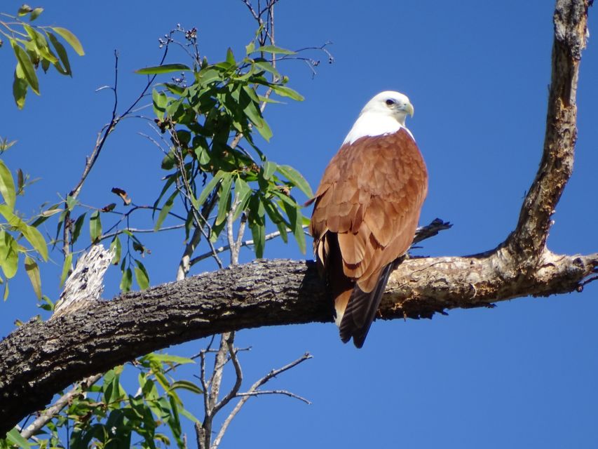 Brunswick River: Byron Sunset Eco Rainforest River Cruise - Common questions