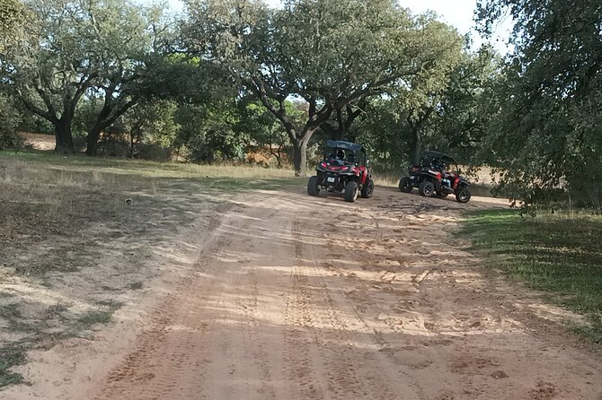 Buggy Adventure - 2 Hours Off-Road Guided Tour From Albufeira - Common questions