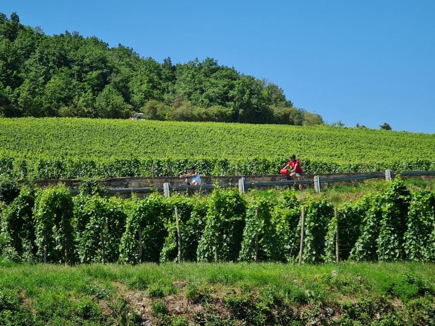 Burgundy: Fantastic 2-Day Cycling Tour With Wine Tasting - Picnic Lunch and 4-Star Hotel Stay