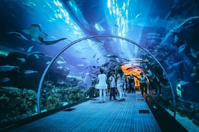 Burj Khalifa and Dubai Mall Aquarium Combo Deal - Last Words