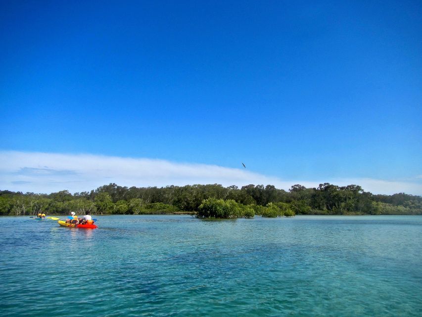 Byron Bay: Brunswick River Scenic Kayak Tour - Safety Briefing