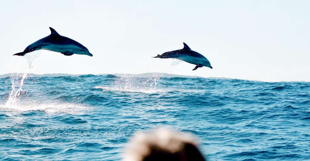 Byron Bay: Cruise With Dolphins Tour - Restrictions and Safety Measures