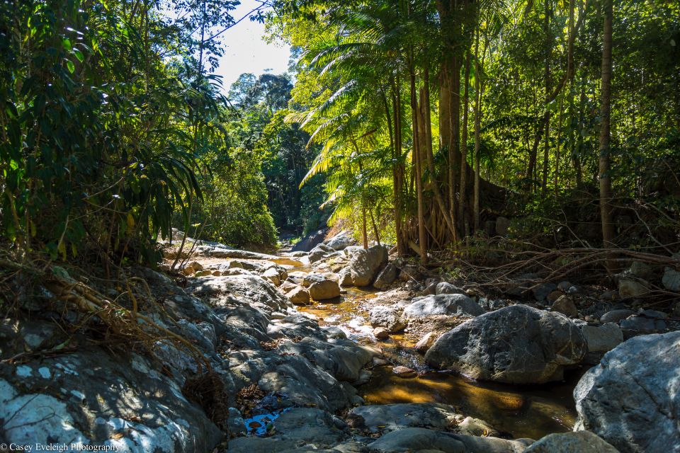 Byron Bay Hinterland: National Park and Waterfalls Tour - Common questions