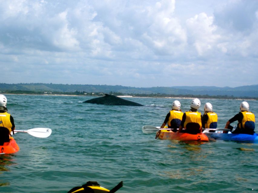 Byron Bay: Sea Kayak Tour With Dolphins and Turtles - Restrictions