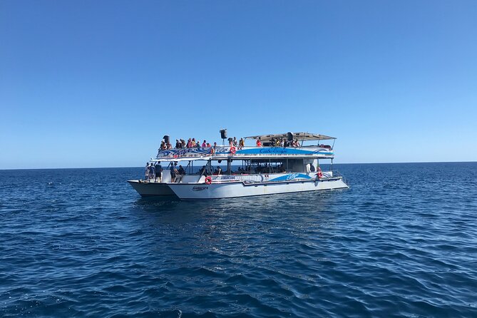 Cabo San Lucas Half-Day Snorkel Cruise With Lunch, Open Bar - Additional Offerings