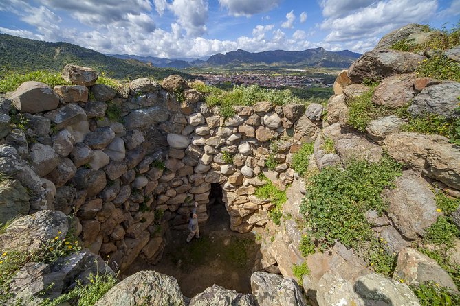 Cagliari: Is Cannoneris Nature Reserve Jeep and Walking Private Tour From Chia - Last Words