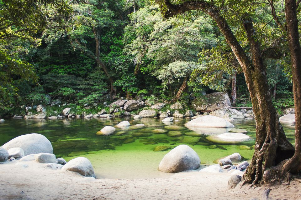 Cairns: Daintree and Mossman Gorge Tour With Cruise Option - What to Bring for the Tour