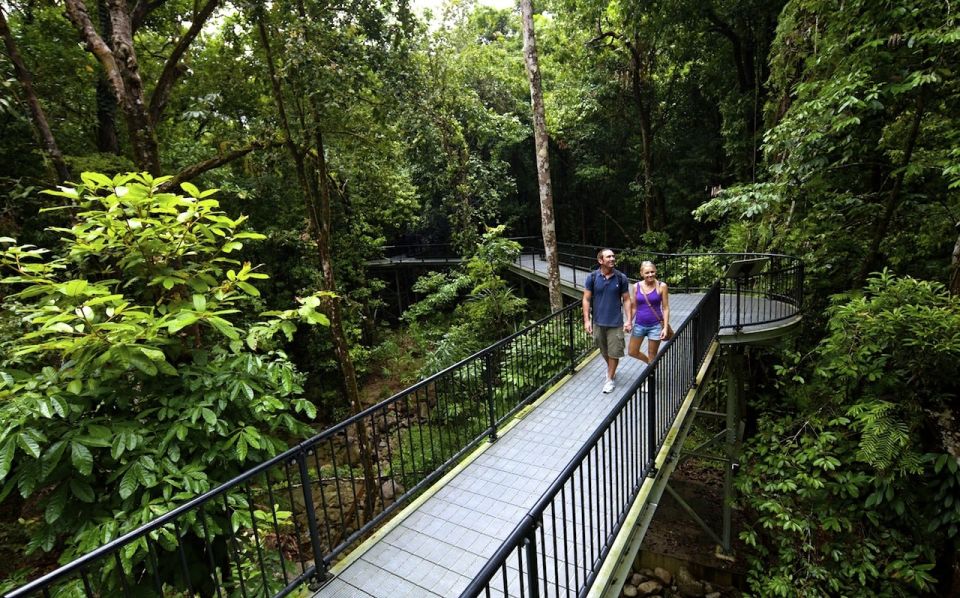 Cairns: Daintree, Mossman Gorge & Cape Tribulation Day Trip - Last Words