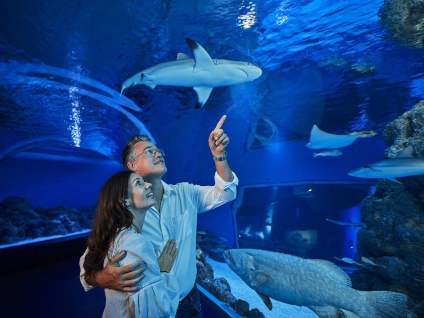 Cairns: Night at the Aquarium Guided Tour & 2 Course Dinner - Common questions