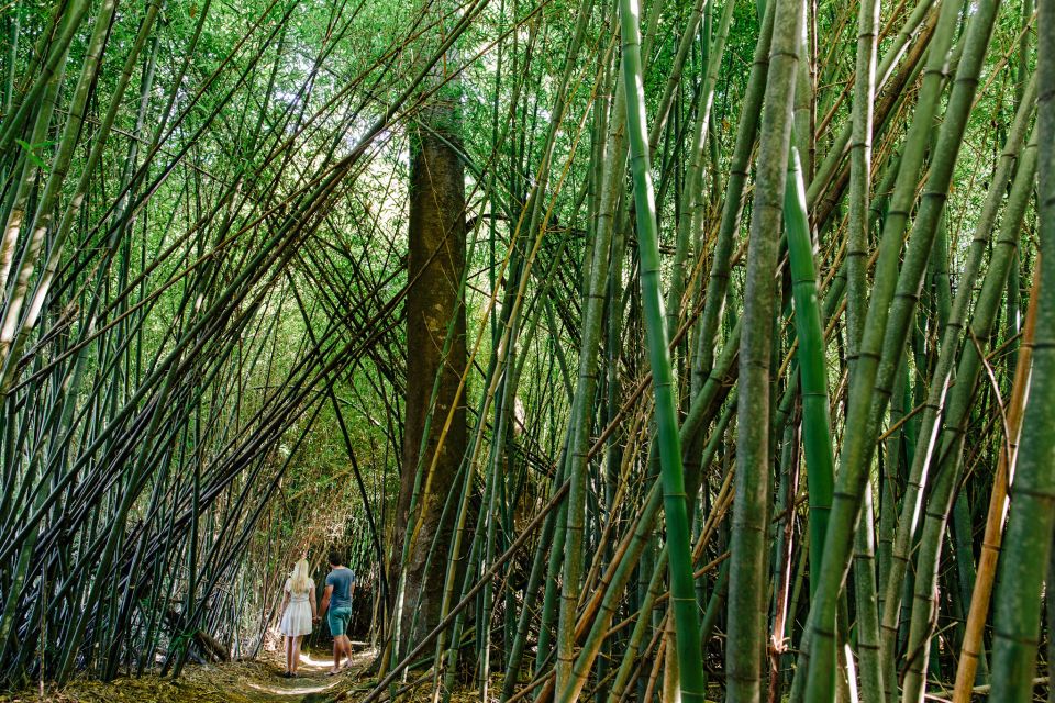 Cairns: Paronella, Lake Barrine & Millaa Millaa Falls Tour - Last Words