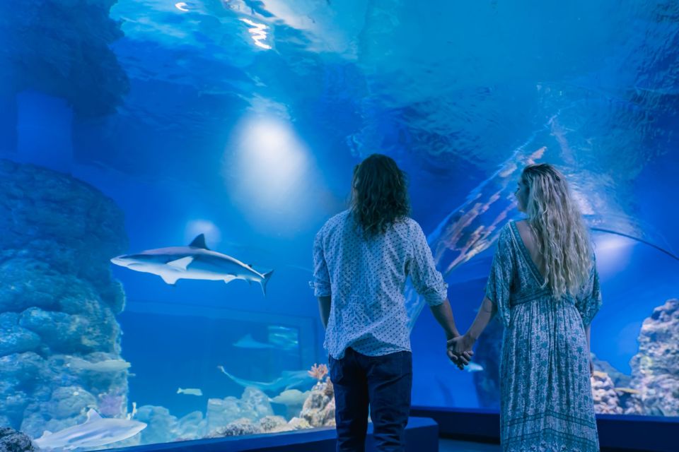 Cairns: Pre-Opening Guided Tour of the Cairns Aquarium - Common questions