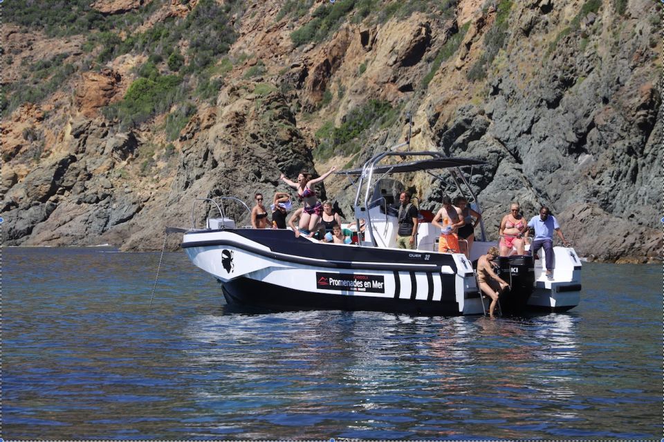 Calvi to Scandola: 4-Hour Boat Tour - Additional Information