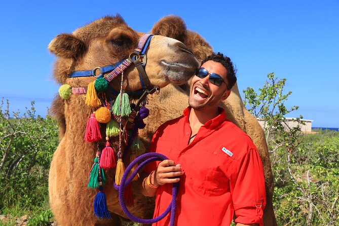 Camel Ride and UTV Combo Adventure, With Tequila Tasting - Suggestions for a Memorable Experience
